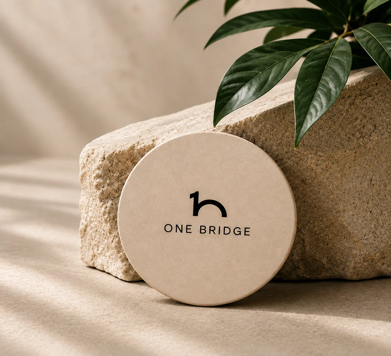 OneBridge tap product resting against a stone with a plant